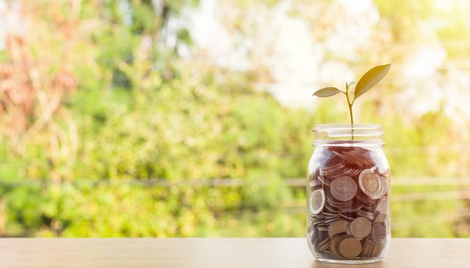 Fundraising plant growing from money in jar